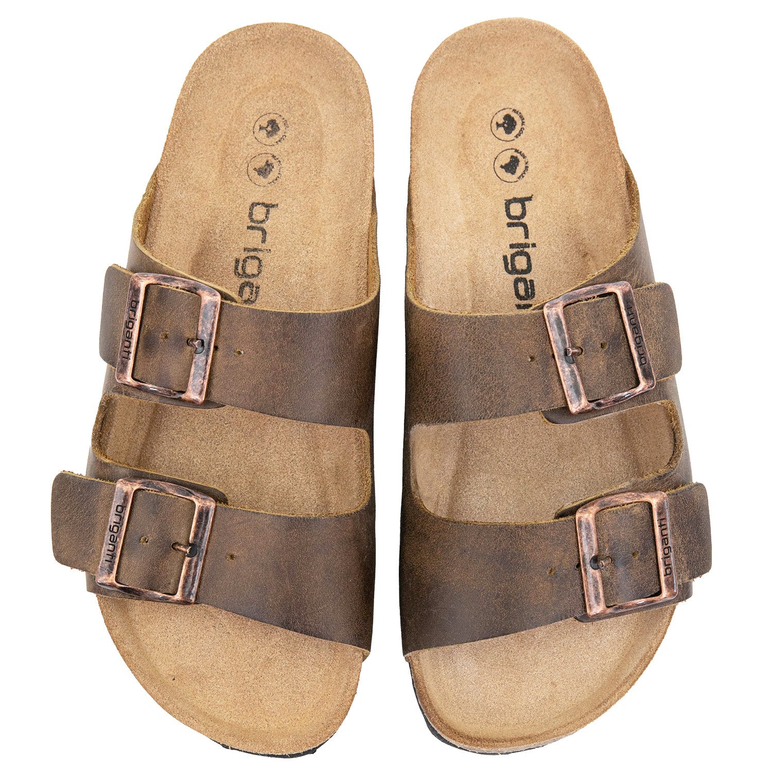 CHINELA BIRK OLI CHOCOLATE