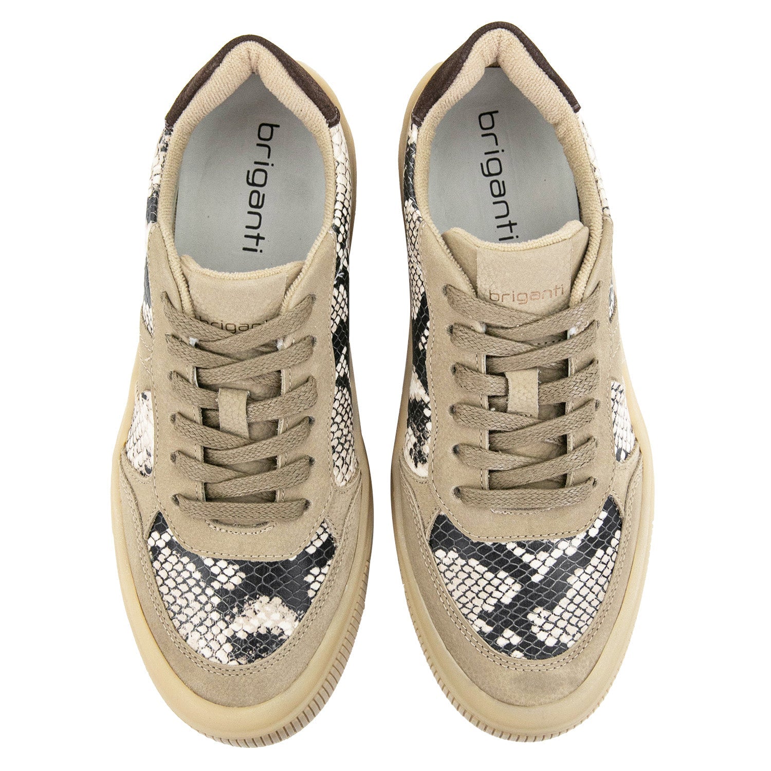 ZAPATILLA SNAKE BEIGE